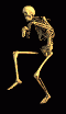 1296394913_5665.gif