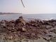 в этих камнях ползает много больших крабов, но поймать не успела, бегают со скоростью света, сразу п
