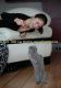 Без описания