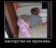 предыдушее фото