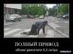Без описания