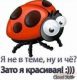 Без описания