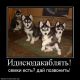 Без описания