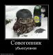 Без описания