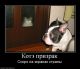 Без описания