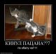 предыдушее фото