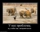 Без описания