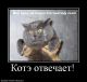 Без описания
