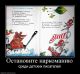 Без описания