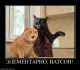 Без описания