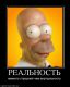 Без описания