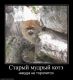 Без описания