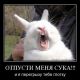Без описания
