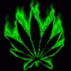 1298939694_5264.gif