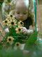 Победитель конкурса Дети - цветы жизни! ~@ИлЛюЗиЯ@~ (808223)