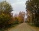 М@лышк@К@рлс@н- 3 место в конкурсе "Самая яркая осень в моем городе"
