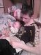 1 место в конкурсе "МОЕ ДИВАННОЕ ЦАРСТВО" *KiTsUnE* (ID: 910845)