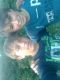 1306340078_9224.jpg