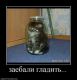 Без описания
