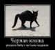 Без описания