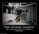 ПОЗОР ВСЕМ НАМ! 8(