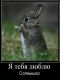Без описания