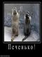 Без описания