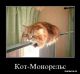 Без описания