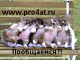 1299929291_6787.gif