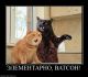 Котэ