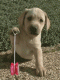 1300350476_3299.gif