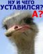 Без описания