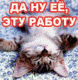Без описания