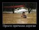 Без описания