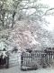 1301230868_9439.jpg