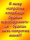 Без описания