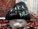 Без описания
