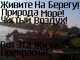 Без описания