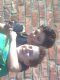 1302034233_7001.jpg
