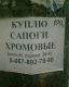 1213705031_1950.jpg