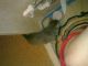 1302941196_6625.jpg