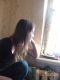 Без описания