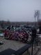 1303057739_8347.jpg