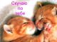Заюнь я по тебе скучаю