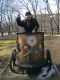 Без описания