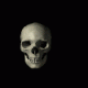 1303440184_1339.gif