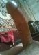 1306333310_5259.jpg