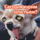 1303732612_3001.gif