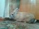 1305204431_7598.jpg