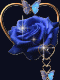 1304519923_8597.gif